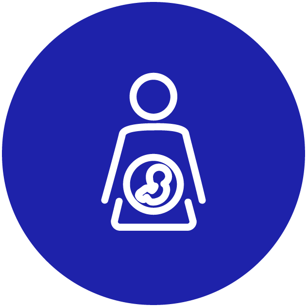 legislative icon